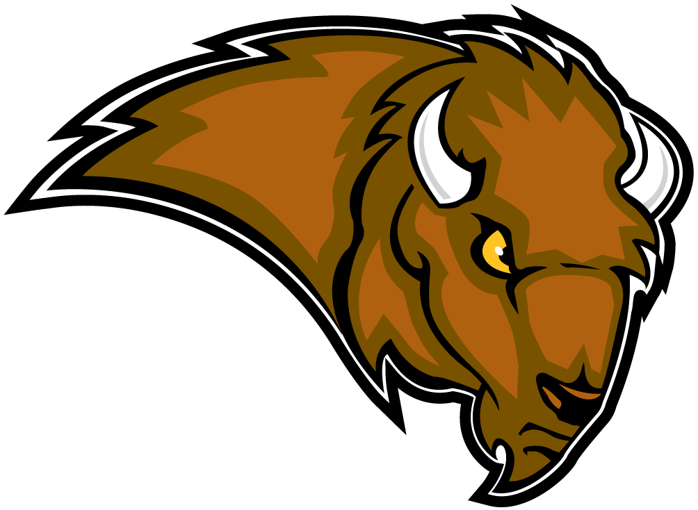Lipscomb Bisons 2002-2011 Secondary Logo iron on transfers for T-shirts